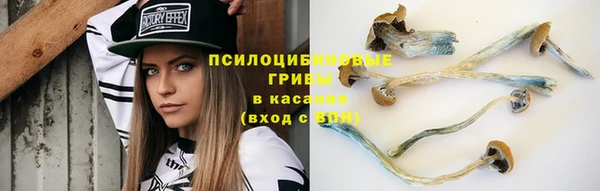 соль ск Бронницы