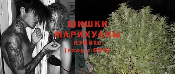 соль ск Бронницы