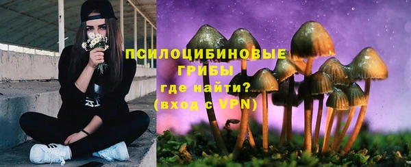 PSILOCYBIN Бугульма