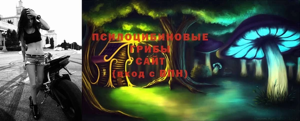 PSILOCYBIN Бугульма