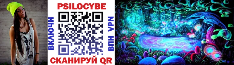 Псилоцибиновые грибы Psilocybe  купить   МЕГА зеркало  Гремячинск 